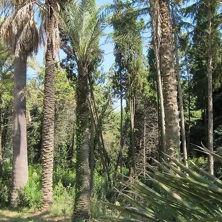 Capo Pero Bed and Breakfast