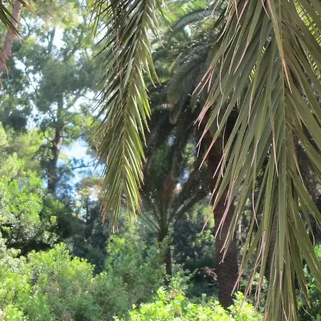 Capo Pero Alojamento de Acomodação e Pequeno-almoço 3*