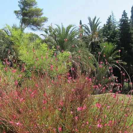 Capo Pero Bed and Breakfast